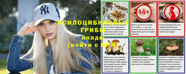 первитин Покров