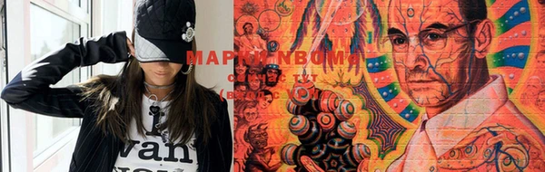 прущие грибы Абинск