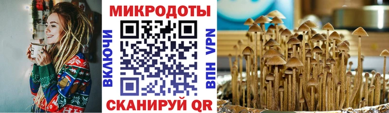Галлюциногенные грибы прущие грибы  Киселёвск 